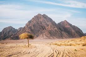 Top 10 Most Amazing Desert Landscapes In The World