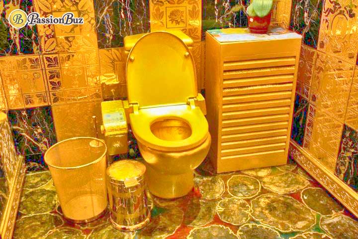 Most expensive toilet 