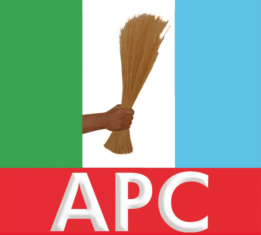 top-10-most-powerful-political-parties-in-nigeria