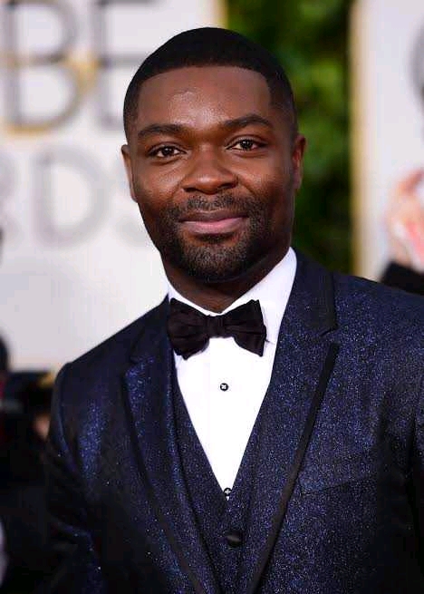 Who are the popular Hollywood actors that are nigerians