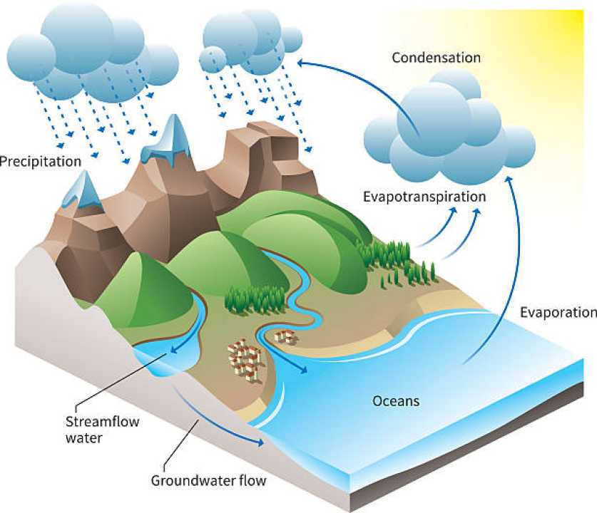 Top 15 Important Facts About Water Cycle