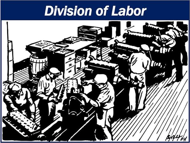 Advantages And Disadvantages Of Division Of Labor