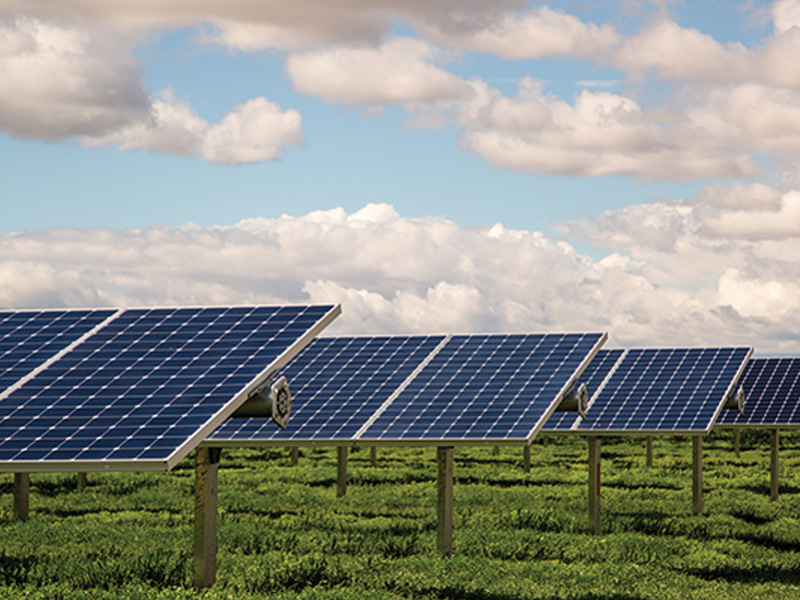 Top 10 Largest Solar Power Plants In The World Top 10 Largest Solar Power Plants In The World