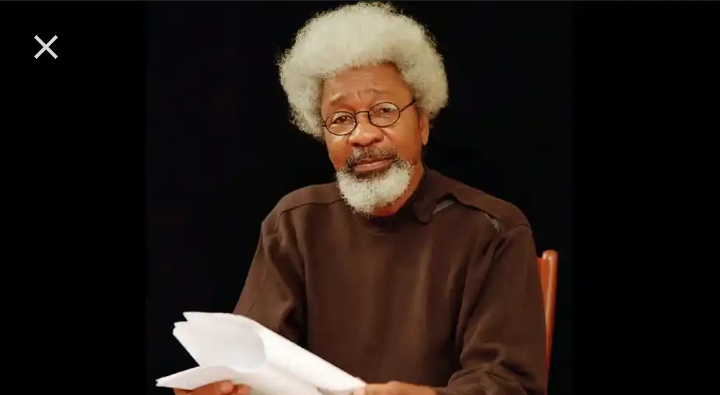 Wole Soyinka: Networth And Biography